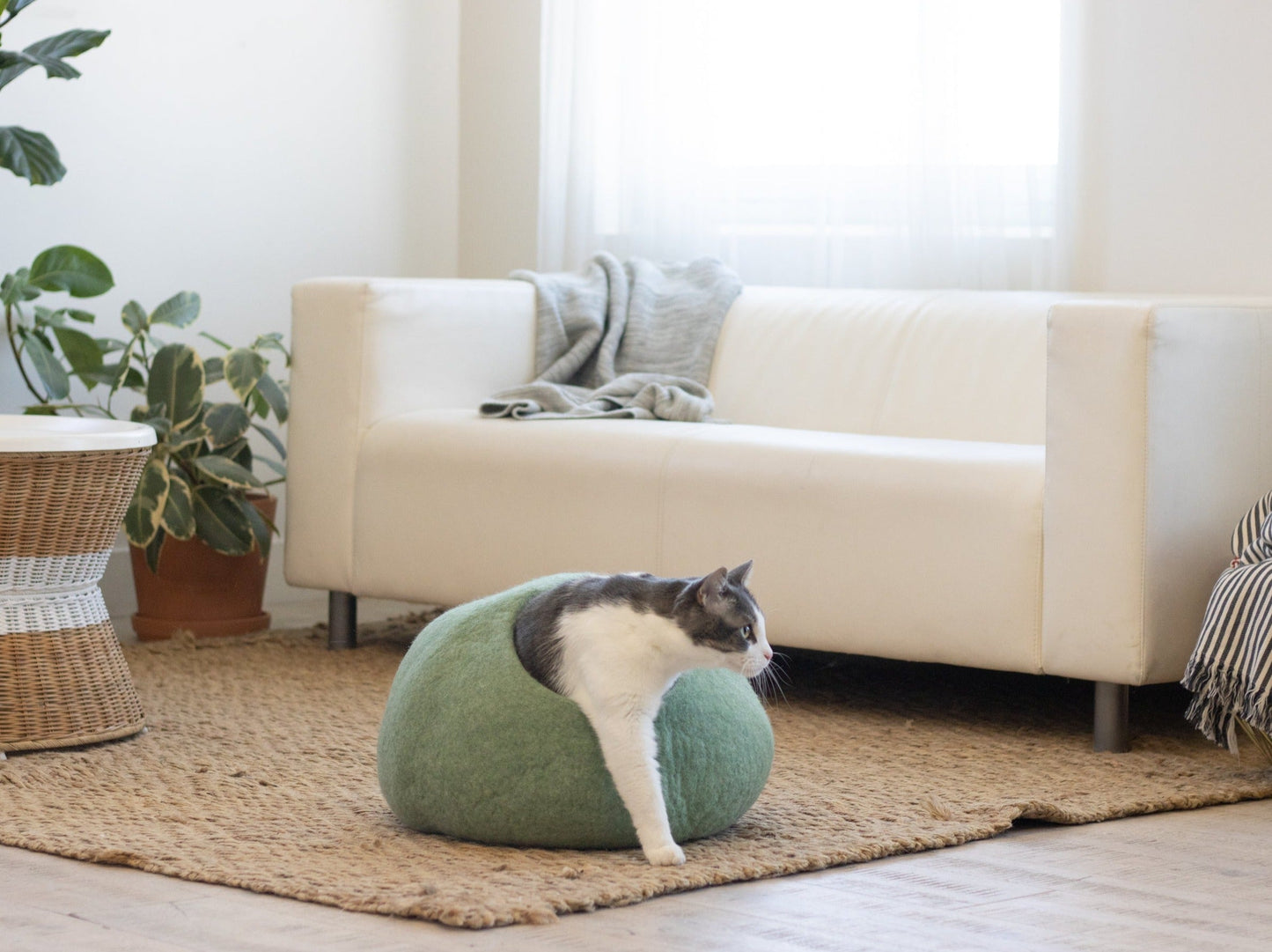 Fuzzy Cove Eucalyptus Green Round Felted Wool Cat Cave – Cozy Enclosed Bed for Cats