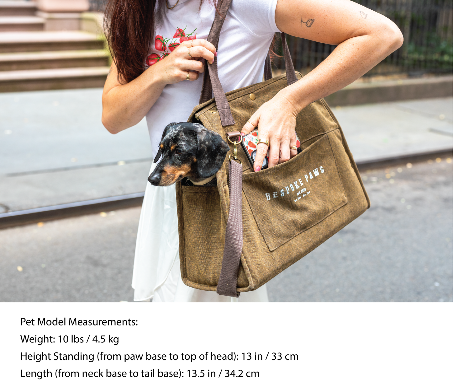 The Daily Packable Pet Carrier – Medium (Army Green) Lightweight Foldable Dog & Cat Travel Carrier