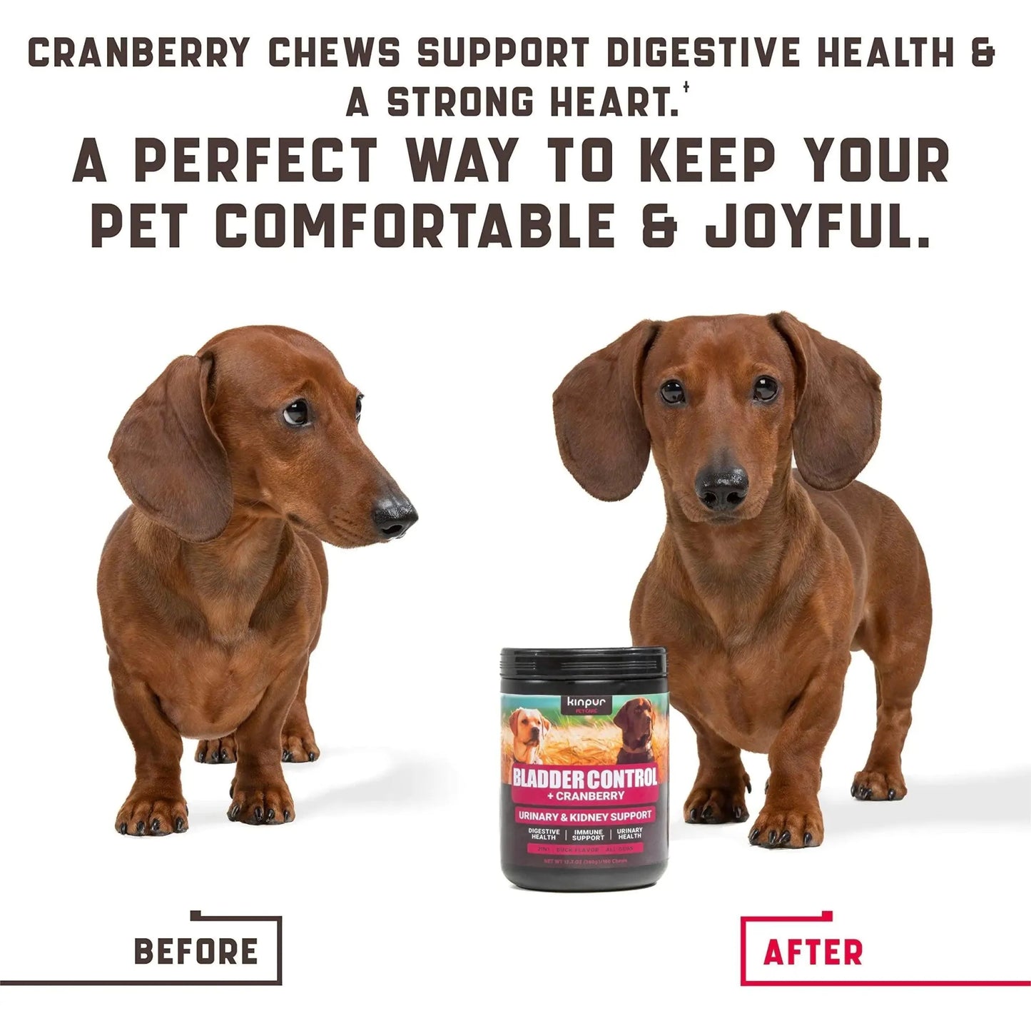 Cranberry UT Health Dog Chews – 180 Count | Urinary Tract & Kidney Support