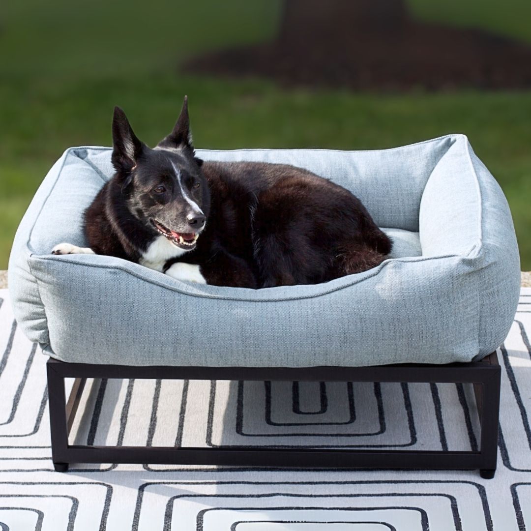 The FÜZI Elevated Dog Bed – Mist Blue Performance Fabric on Black Metal Base (S/M/L/XL)