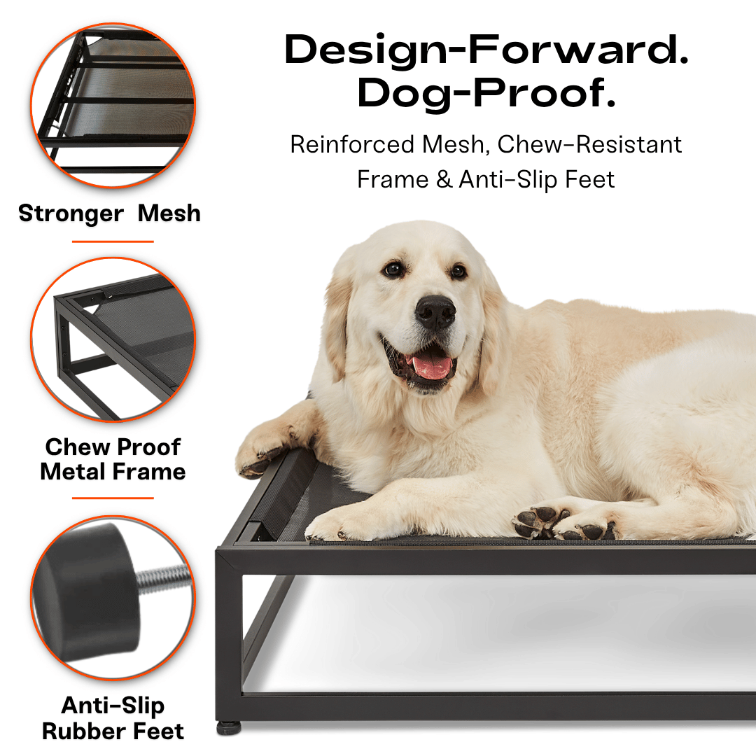 The Up Pup Dog Bed | Elevated Chew-Resistant Raised Dog Cot with Breathable Mesh & Rust-Proof Metal Frame (S–XL)