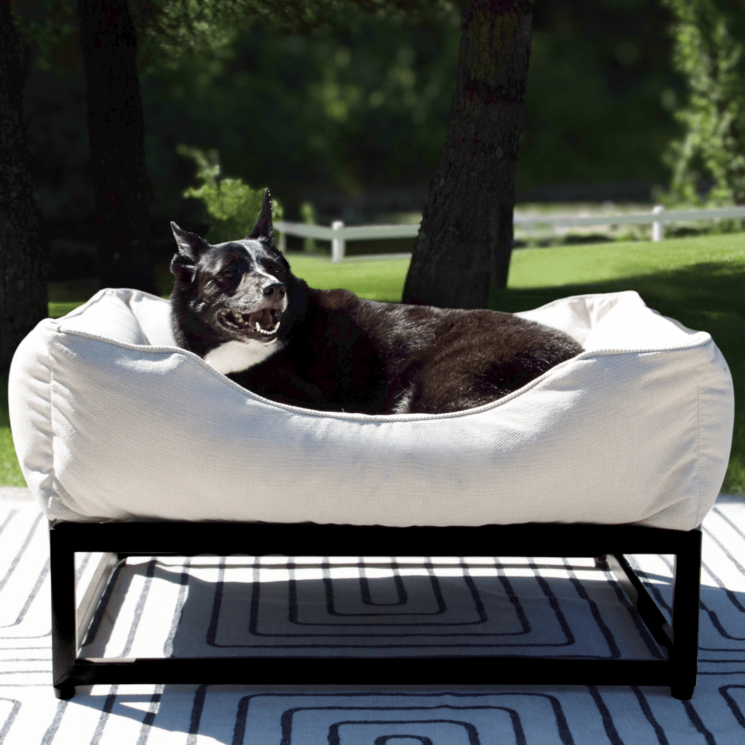 The FÜZI Elevated Dog Bed – Oat Performance Fabric on Black Metal Base (S/M/L/XL)