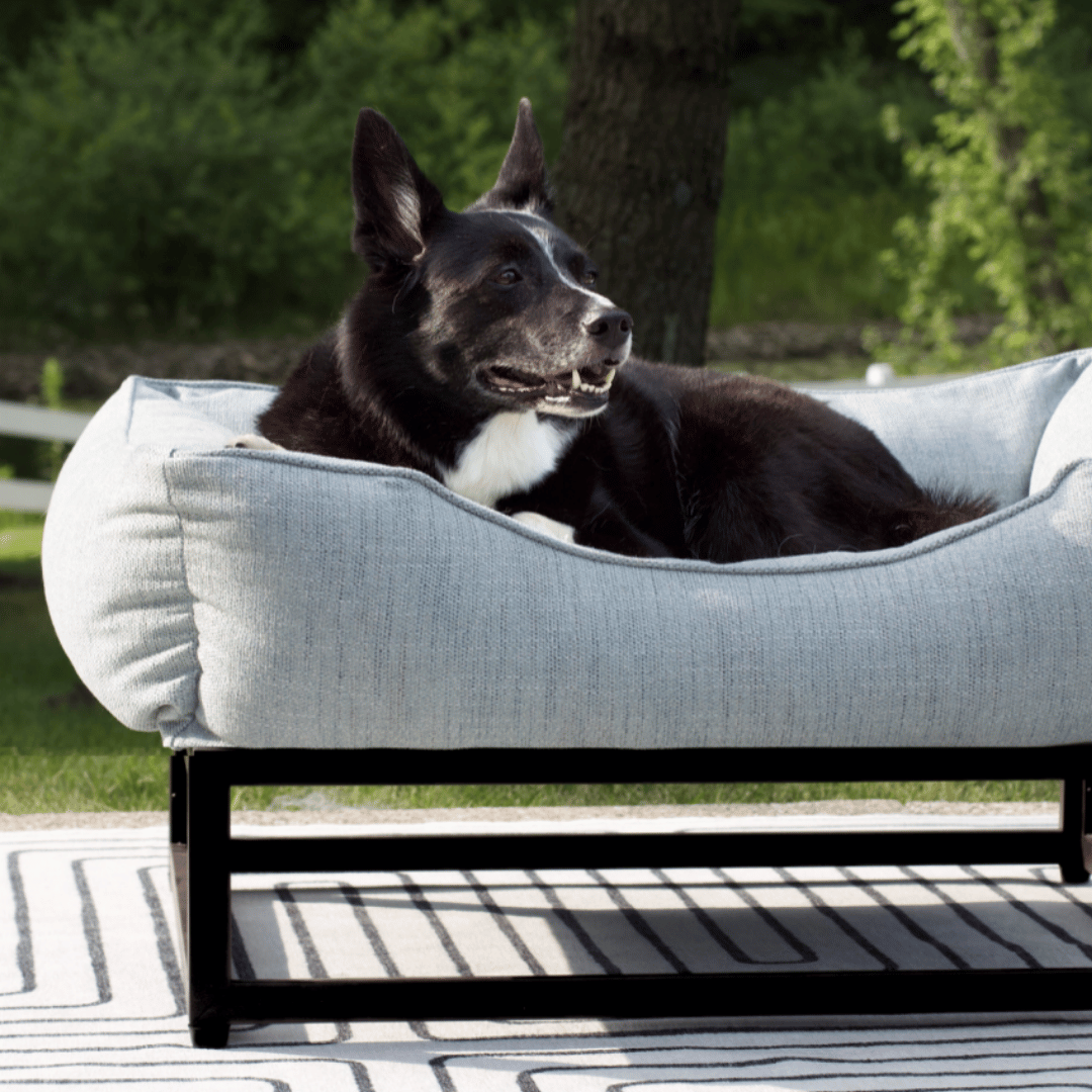 The FÜZI Elevated Dog Bed – Mist Blue Performance Fabric on Black Metal Base (S/M/L/XL)