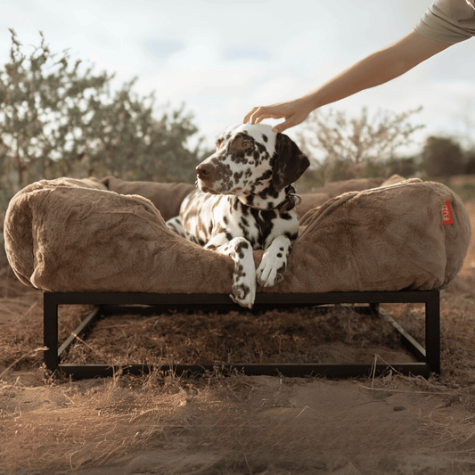 The FÜZI Elevated Dog Bed – Light Brown Bolster & Black Metal Base (S/M/L)