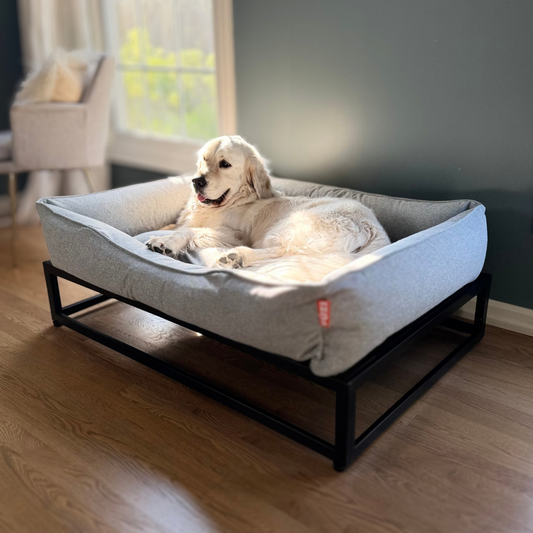 The FÜZI Raised Dog Bed – Sky Blue Performance Fabric with Black Metal Base