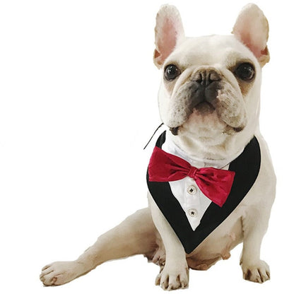 2-Button Tuxedo & Red Bow Tie Dog Bandana | 100% Cotton Tie-On – Medium, up to 15" Neck