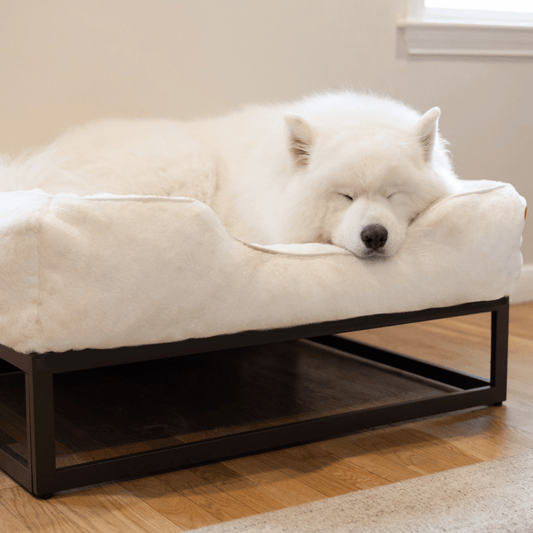 FÜZI Elevated Dog Bed – Soft White Bolster & Dark Brown Metal Base