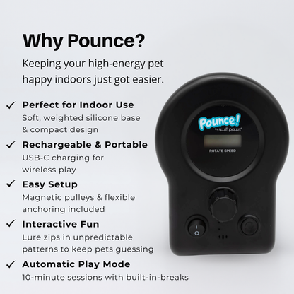 Pounce! Indoor Lure Course Kit | Interactive Chase Toy for Cats & Small Dogs
