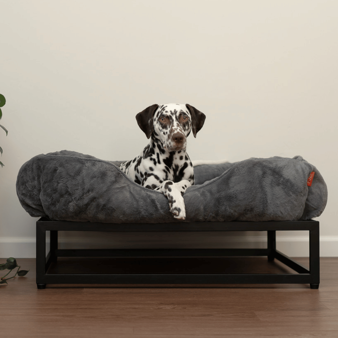 FÜZI Elevated Dog Bed – Dark Grey Bolster & Black Metal Base