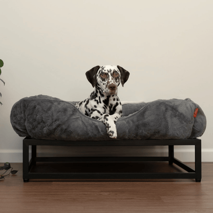 FÜZI Elevated Dog Bed – Dark Grey Bolster & Black Metal Base
