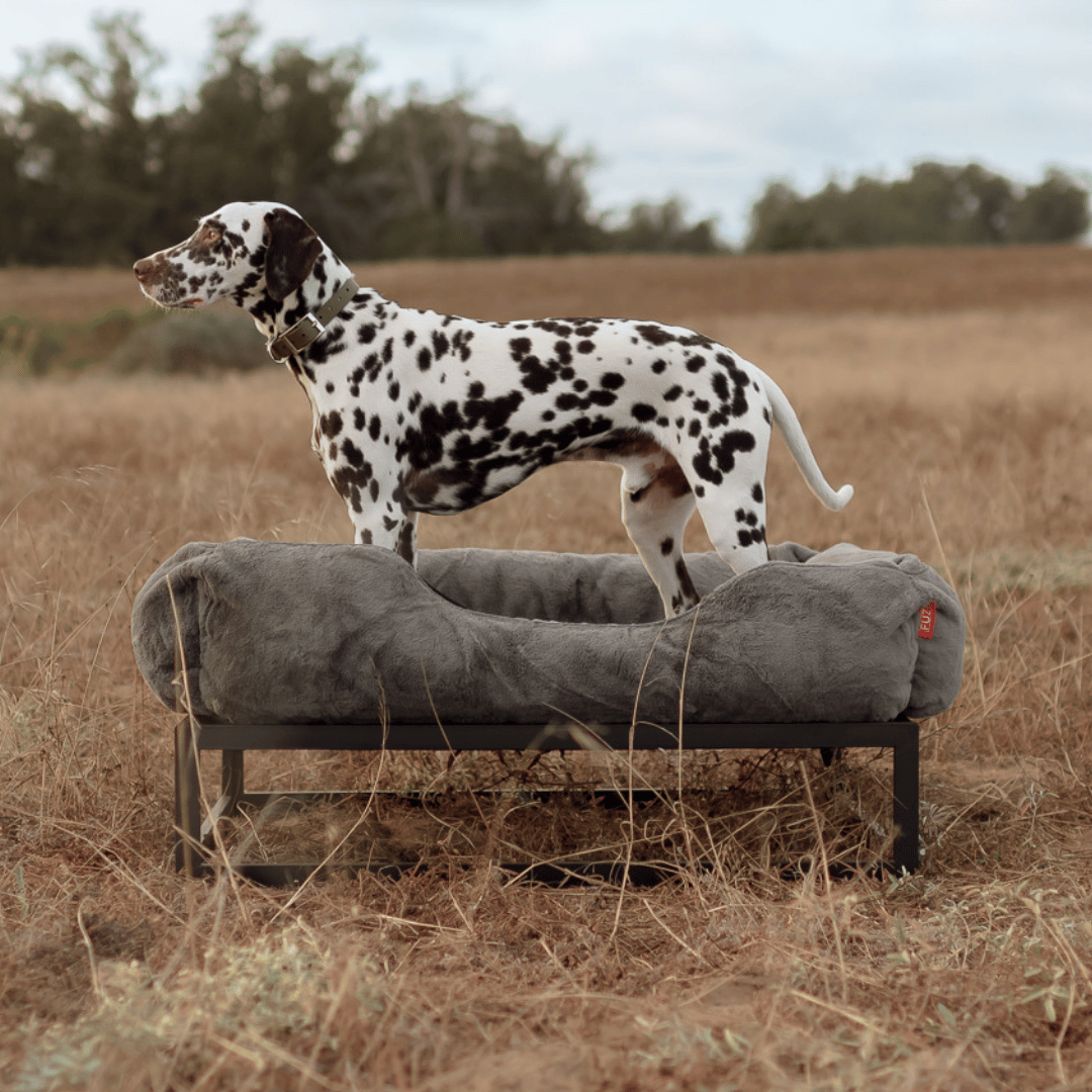 FÜZI Elevated Dog Bed – Dark Grey Bolster & Black Metal Base
