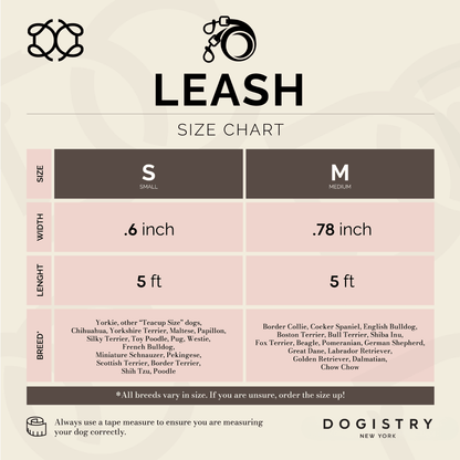 Dogistry 3-in-1 City Dog Leash – Sweetheart Blush with Adjustable 2–5 ft Length, Secure Buckled Handle, and Comfort-Enhanced Bungee Design