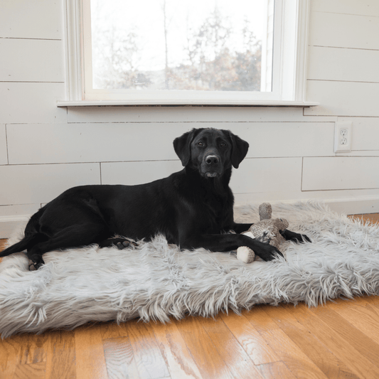 PupRug by Paw.com® Faux Fur Orthopedic Dog Bed - Rectangle Grey