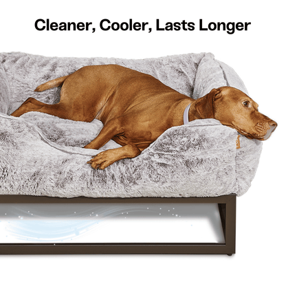 FÜZI Elevated Dog Bed – Soft White Bolster & Dark Brown Metal Base