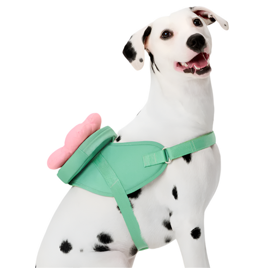 Flora Pet Harness & Backpack 3-in-1 Set by Vetreska – Flower-Shaped Backpack with Matching Collar & Leash (Size L)