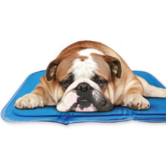Green Pet Cool Pet Pad – Medium Blue Self-Cooling Pet Bed, Provides Up to 3 Hours of Cooling and Recharges in 15–20 Minutes
