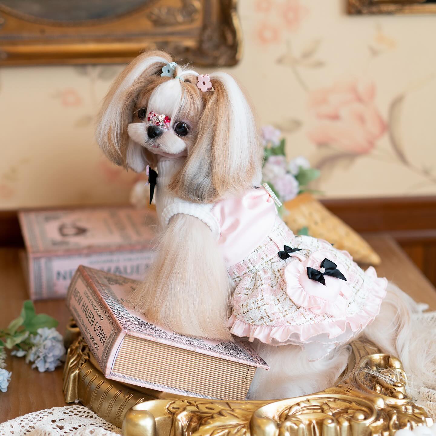 Luxury design Tweed Bow Belle Dog Dress
