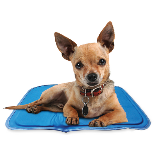 Green Pet Cool Pet Pad – Extra Small Blue Self-Cooling Pet Bed, Provides Up to 3 Hours of Cooling and Recharges in 15–20 Minutes