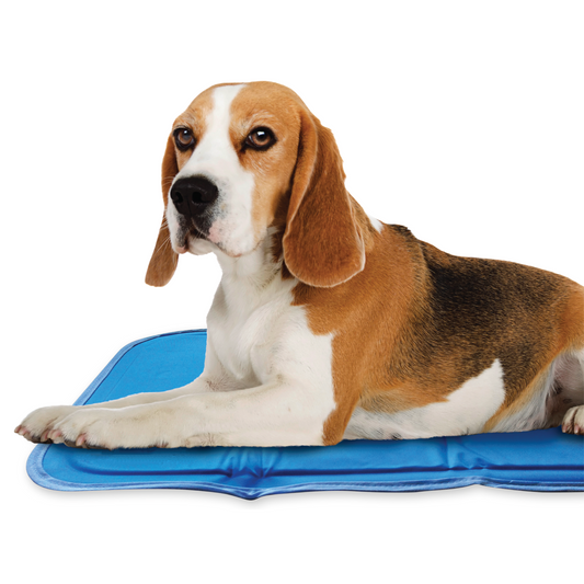 Green Pet Cool Pet Pad – Small Blue Self-Cooling Pet Bed, Provides Up to 3 Hours of Cooling and Recharges in 15–20 Minutes