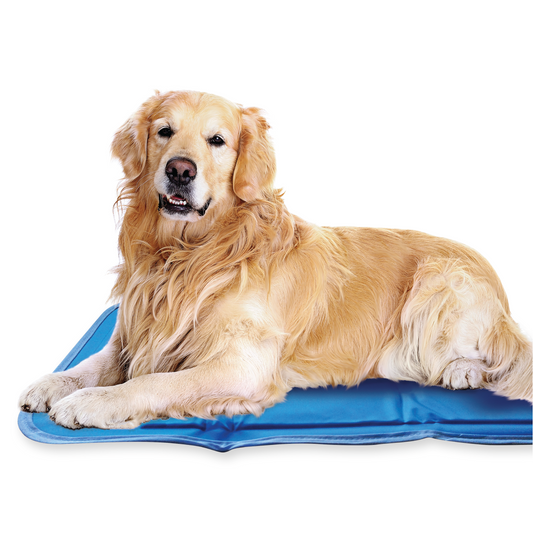 reen Pet Cool Pet Pad – Large Blue Self-Cooling Pet Bed, Provides Up to 3 Hours of Cooling and Recharges in 15–20 Minutes