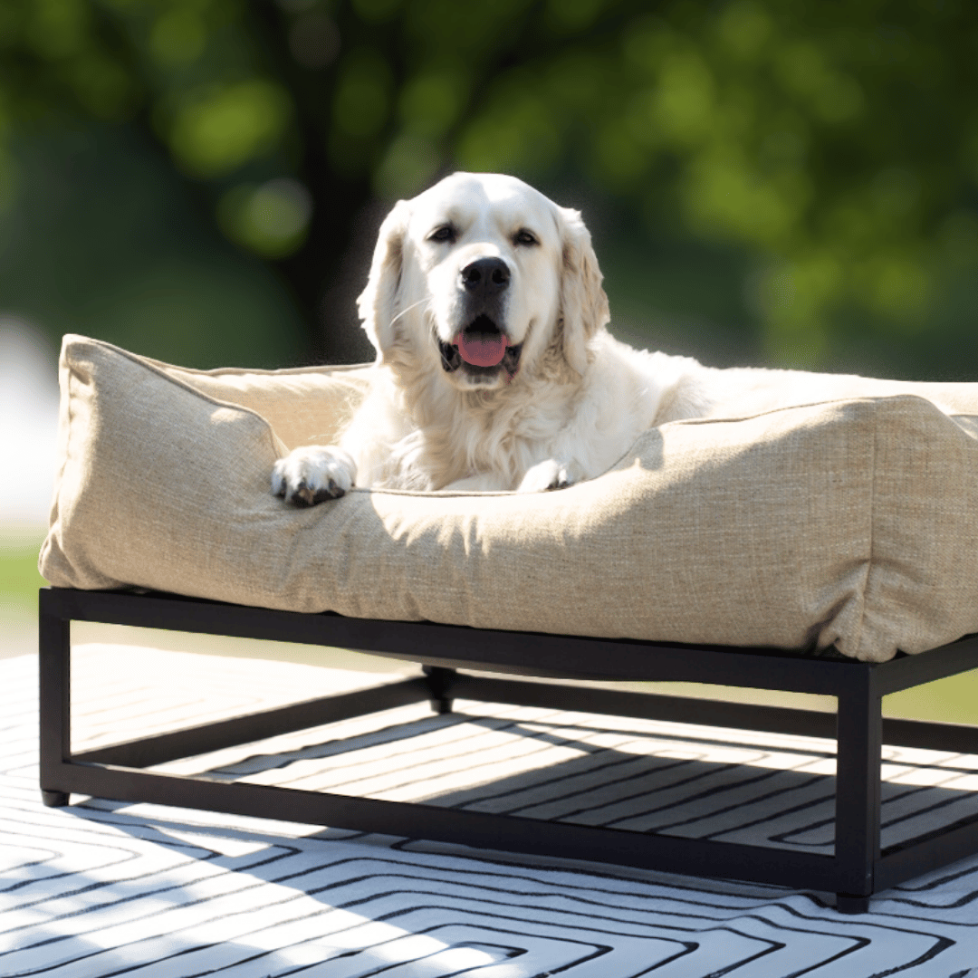 The FÜZI Elevated Dog Bed – Flax Performance Fabric on Black Metal Base (S/M/L/XL)