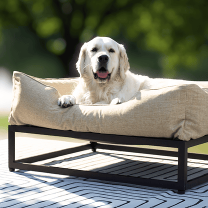The FÜZI Elevated Dog Bed – Flax Performance Fabric on Black Metal Base (S/M/L/XL)