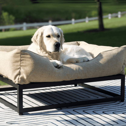 The FÜZI Elevated Dog Bed – Flax Performance Fabric on Black Metal Base (S/M/L/XL)