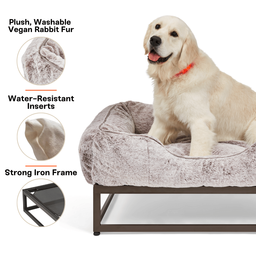 FÜZI Elevated Dog Bed – Luxury Bolster Top & Chew-Proof Metal Platform