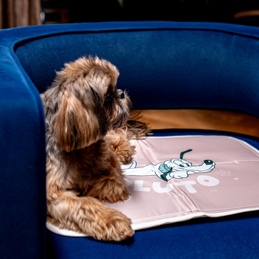 Disney Pluto Cool Pet Pad – XL Size Cooling Mat for Dogs & Cats, Lightweight and Portable, Helps Regulate Pet Temperature