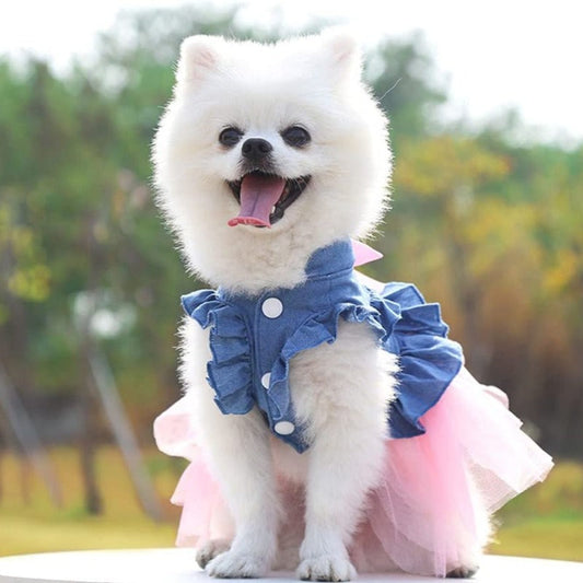 Chic Denim Tulle Tutu Dog Dress – Ruffled Jean Bow Dress for Small Dogs | Posh Dog Life