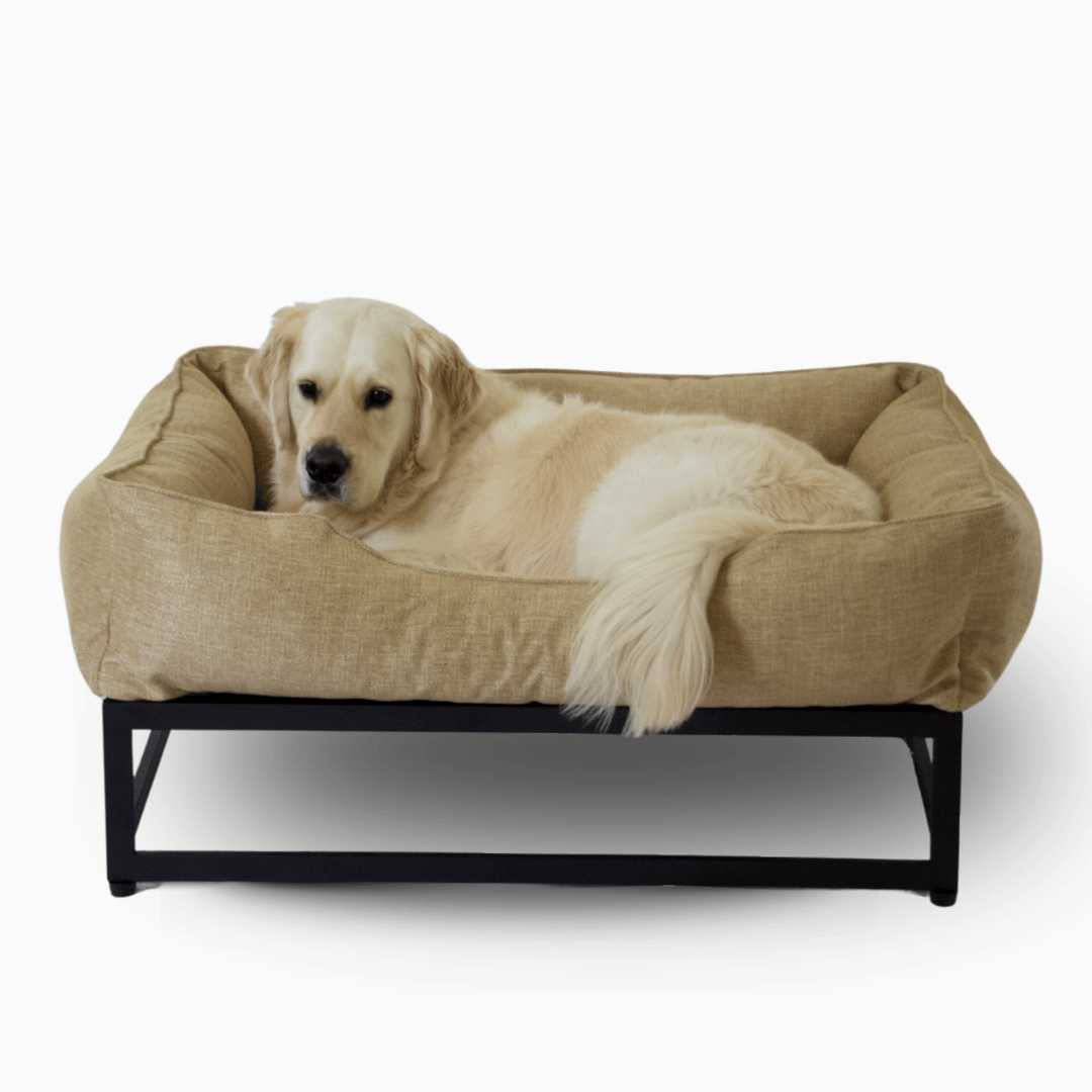 The FÜZI Elevated Dog Bed – Flax Performance Fabric on Black Metal Base (S/M/L/XL)