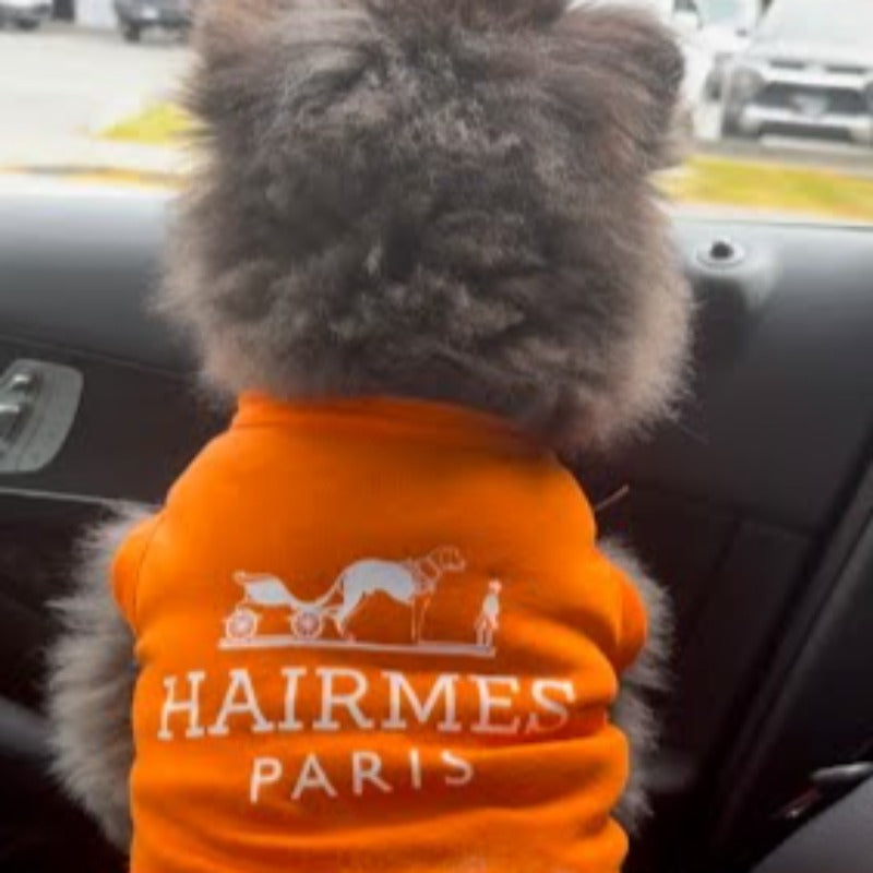 Hairmes Paris Designer Dog T-Shirt – Luxury Orange Logo Tee for Small, Medium & Large Dogs (XS–3XL)