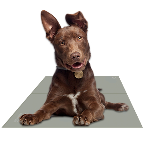 Chillz Gel Mat – XL, Sage Gray | Non-Toxic Pressure-Activated Pet Cooling Pad, No Electricity or Refrigeration Needed