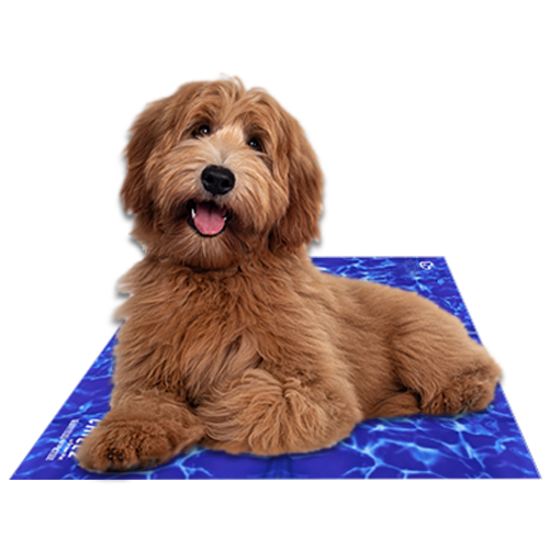 Chillz Gel Mat – Large, Blue Wave | Non-Toxic Pressure-Activated Pet Cooling Pad, No Electricity or Refrigeration Needed