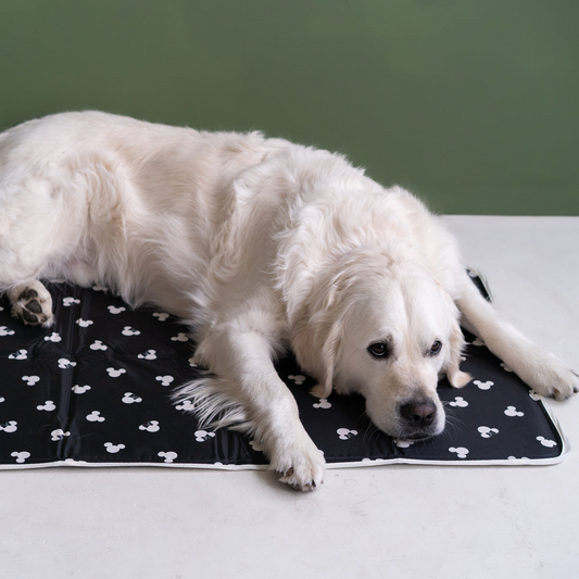 Disney Mickey & Minnie Cool Pet Pad – Medium Size, Pressure-Activated Cooling Mat for Pets, Non-Toxic & No Electricity Required