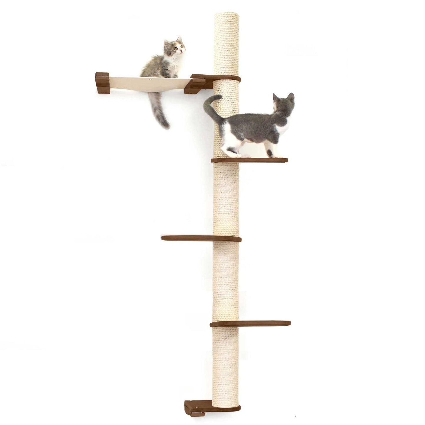 The Crow's Nest - A Wall Cat Scratcher with Hammock