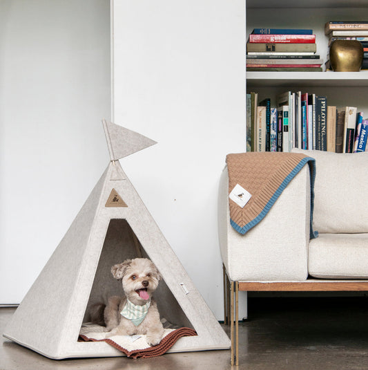 Nooee Pet Teepee Bailey (M) – Portable Dog & Cat Tent Bed with Machine-Washable Cushion, Zipper Opening, Foldable Design with Travel Bag, Fits Pets Up to 15 lbs, 25”H x 23”L x 23”D