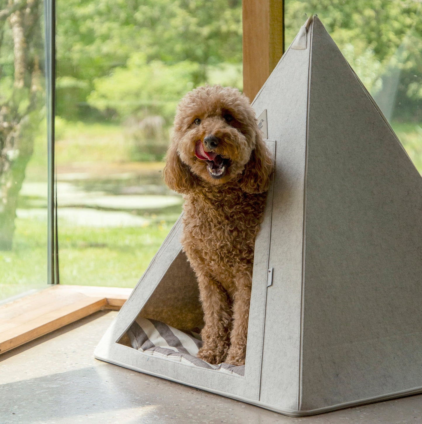 Nooee Pet Teepee Tucker (L) – Portable Dog & Cat Tent Bed with Machine-Washable Cushion, Zipper Opening, Foldable Design with Travel Bag, Fits Pets Up to 20 lbs, 31”H x 28”L x 28”D