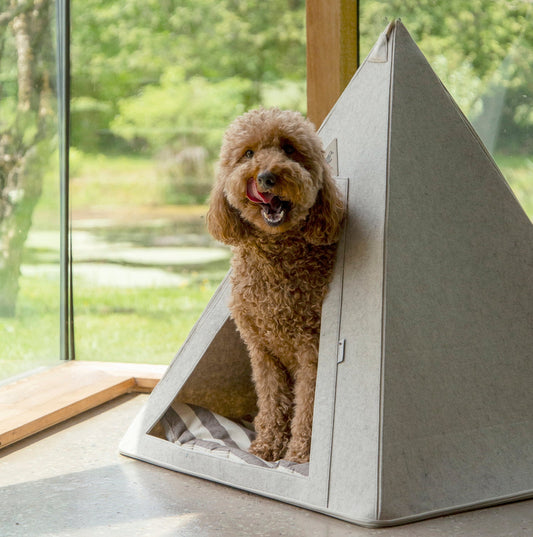 Nooee Pet Teepee Tucker (L) – Portable Dog & Cat Tent Bed with Machine-Washable Cushion, Zipper Opening, Foldable Design with Travel Bag, Fits Pets Up to 20 lbs, 31”H x 28”L x 28”D