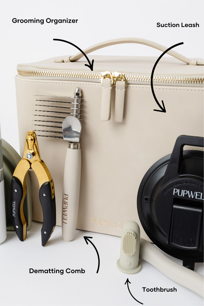 Ultimate Dog Grooming Kit | Professional 14-Tool Home Grooming Set with Training Course