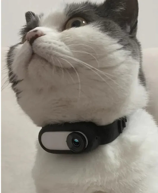 Paw Cam Wireless Pet Collar | Silicone Pet Camera Collar for Dogs & Cats (USB Rechargeable)