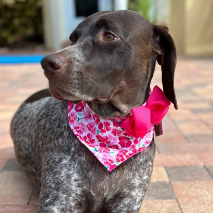 Pink Flowers Bandana Dog Collar with Bow – Handmade in USA by Chloe & Max, 100% Cotton Floral Bandana Collar with Pink Gingham Trim, Plastic Buckle, Hand-Washable, Easy Snap-On Design (Sizes XS–XL, Small to Large Dogs, USA Orders Only)