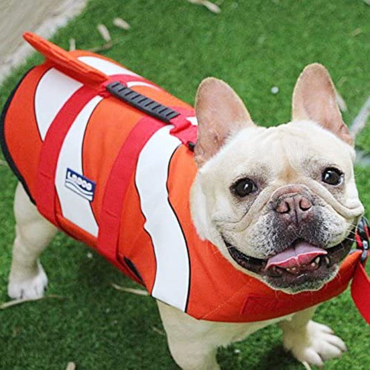 Clownfish Dog Life Jacket | Buoyant Waterproof Safety Vest – Adjustable, Size L