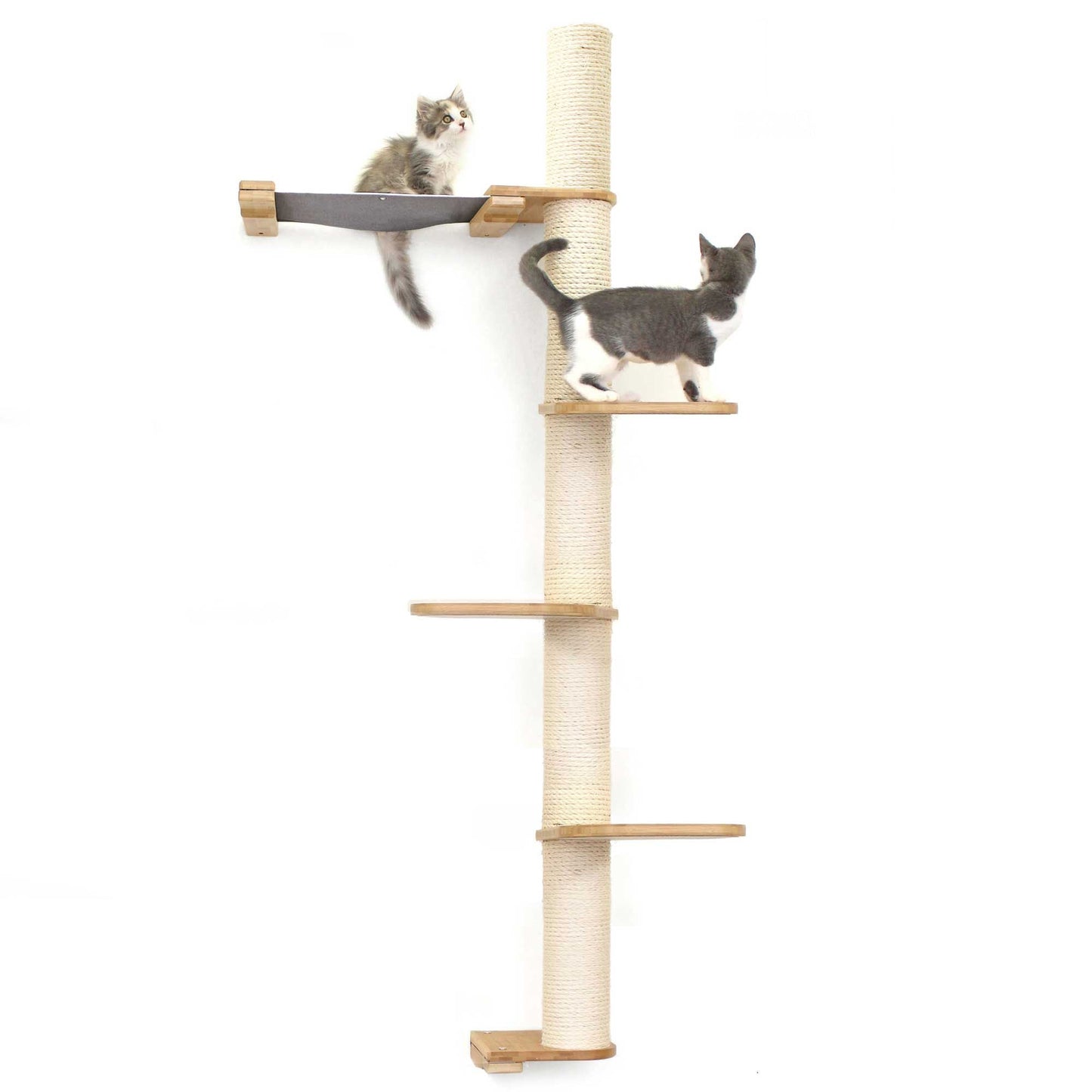 The Crow's Nest - A Wall Cat Scratcher with Hammock