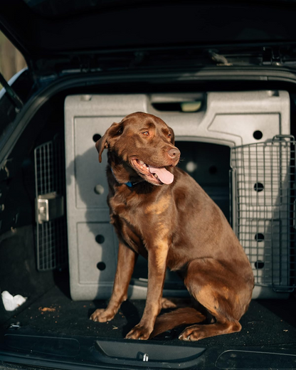 Dakota 283 Side Entry Dog Kennel – Medium Dark Granite, Dual Front & Side Keyed Doors, Ventilated & Stackable Crate with Easy-Grip Handle