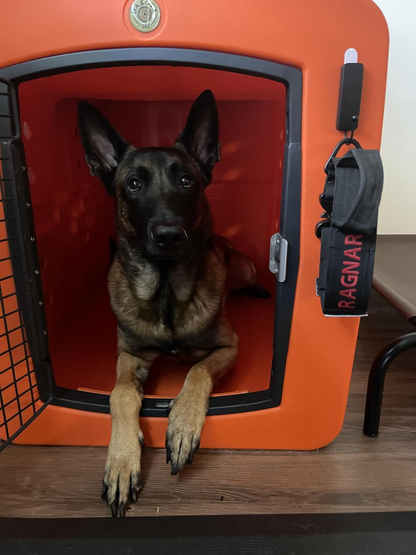 Dakota 283 G3 Dog Kennel – X-Large Orange, Framed Door with Keyed Latch, Ventilated & Stackable Crate, 38.5" x 25.5" x 29.5"