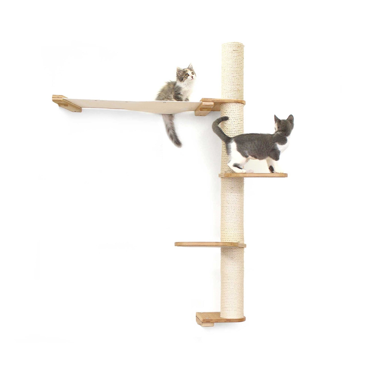 The Crow's Nest - A Wall Cat Scratcher with Hammock