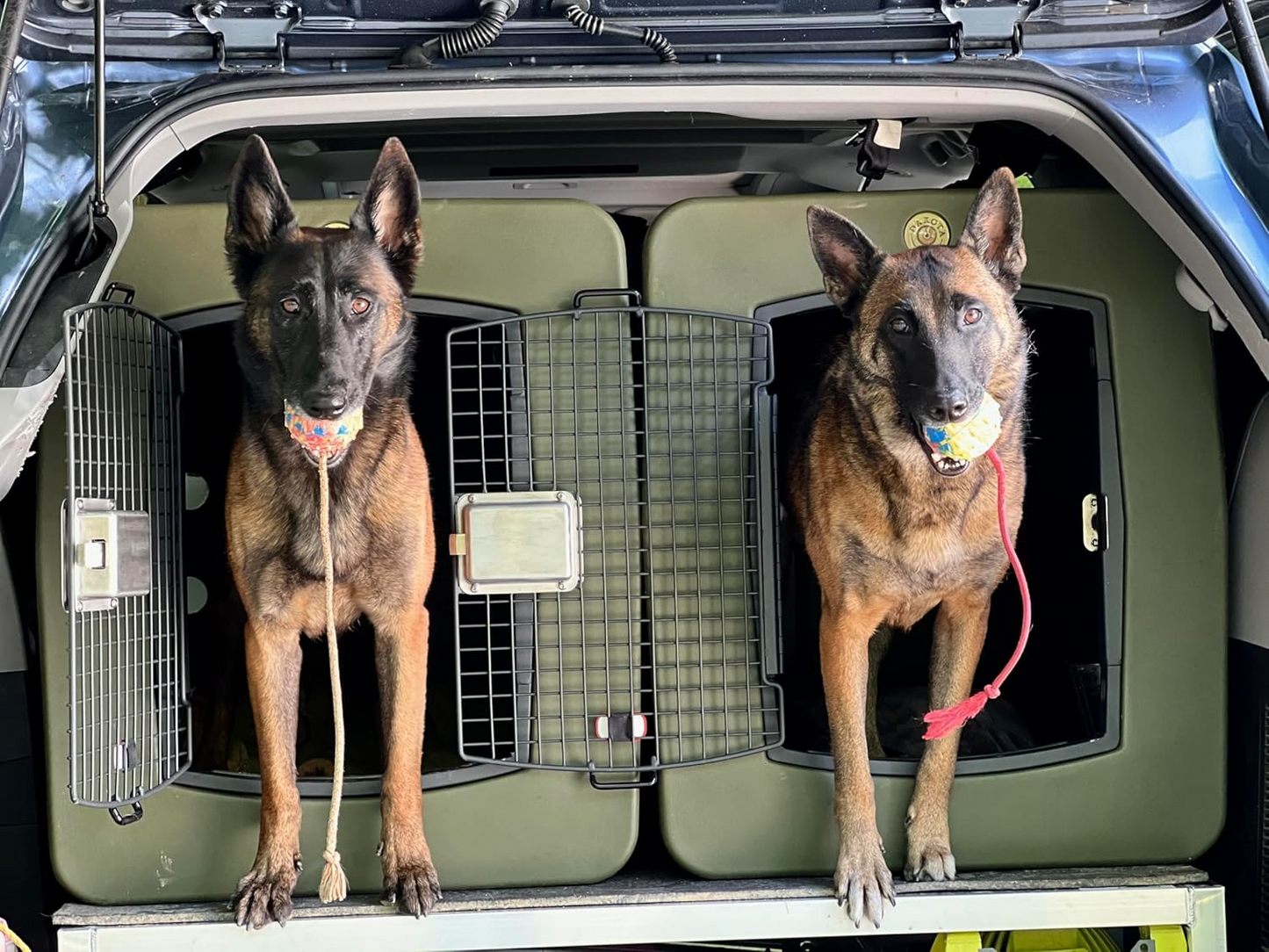 Dakota 283 G3 Dog Kennel – X-Large Olive Green, Framed Door with Keyed Latch, Ventilated & Stackable Crate, 38.5" x 25.5" x 29.5"