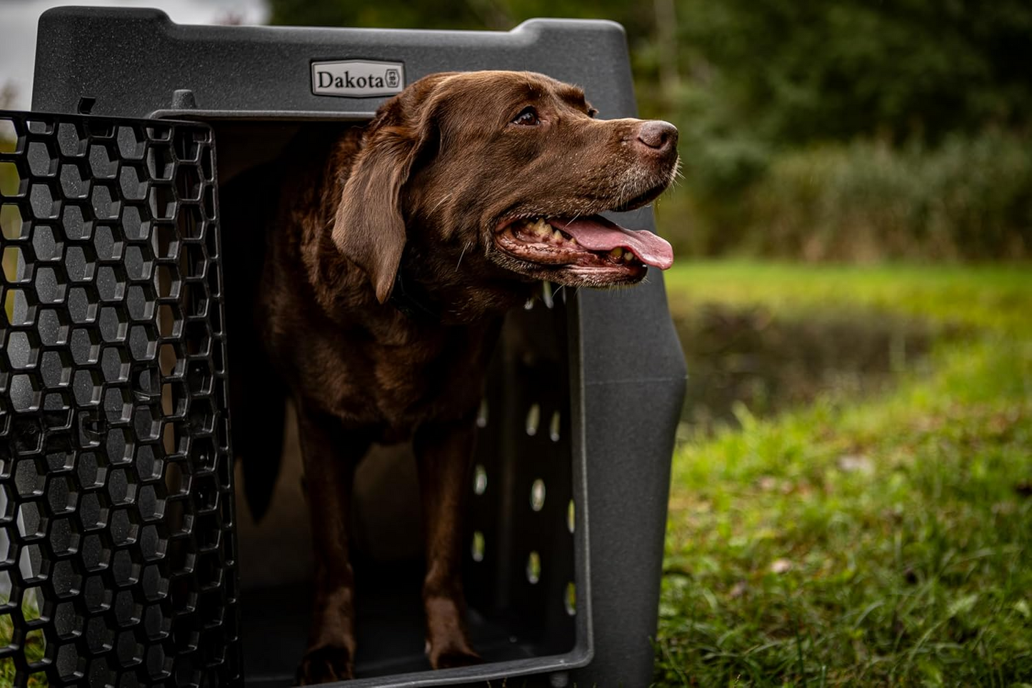Dakota 283 CRaTE Economy Dog Kennel – Large Dark Granite, Heavy-Duty One-Piece Design with Dual-Swing Door, Ventilated & Portable Crate