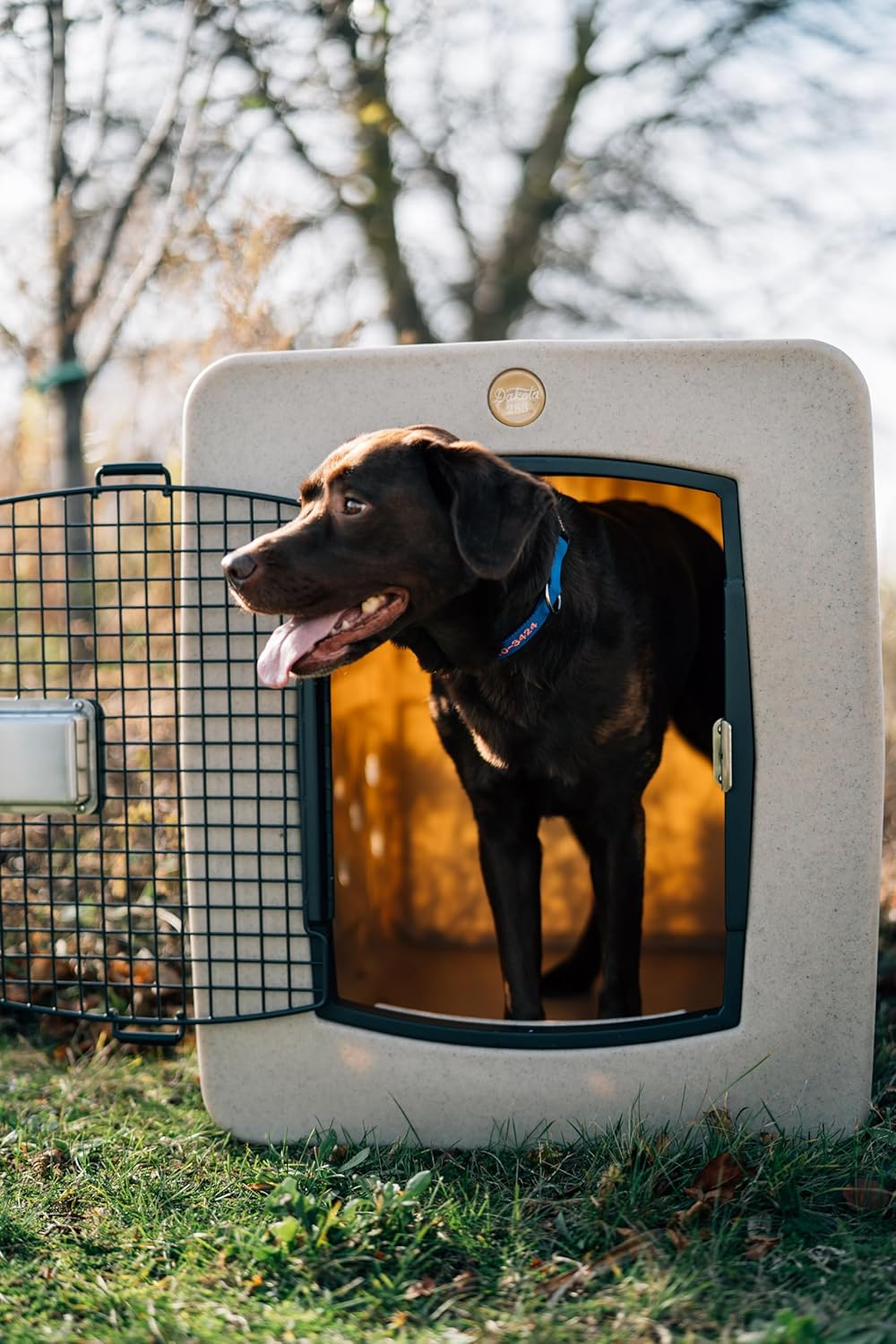Dakota 283 G3 Dog Kennel – X-Large Purple, Framed Door with Keyed Latch, Ventilated & Stackable Crate, 38.5" x 25.5" x 29.5"